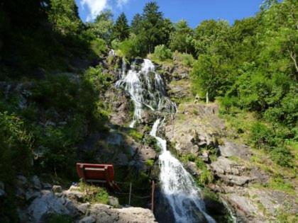 Hotel Waldeck In Todtnau Εξωτερικό φωτογραφία